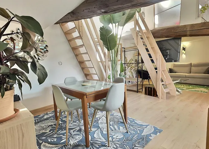 Jungle Loft Beziers Centre