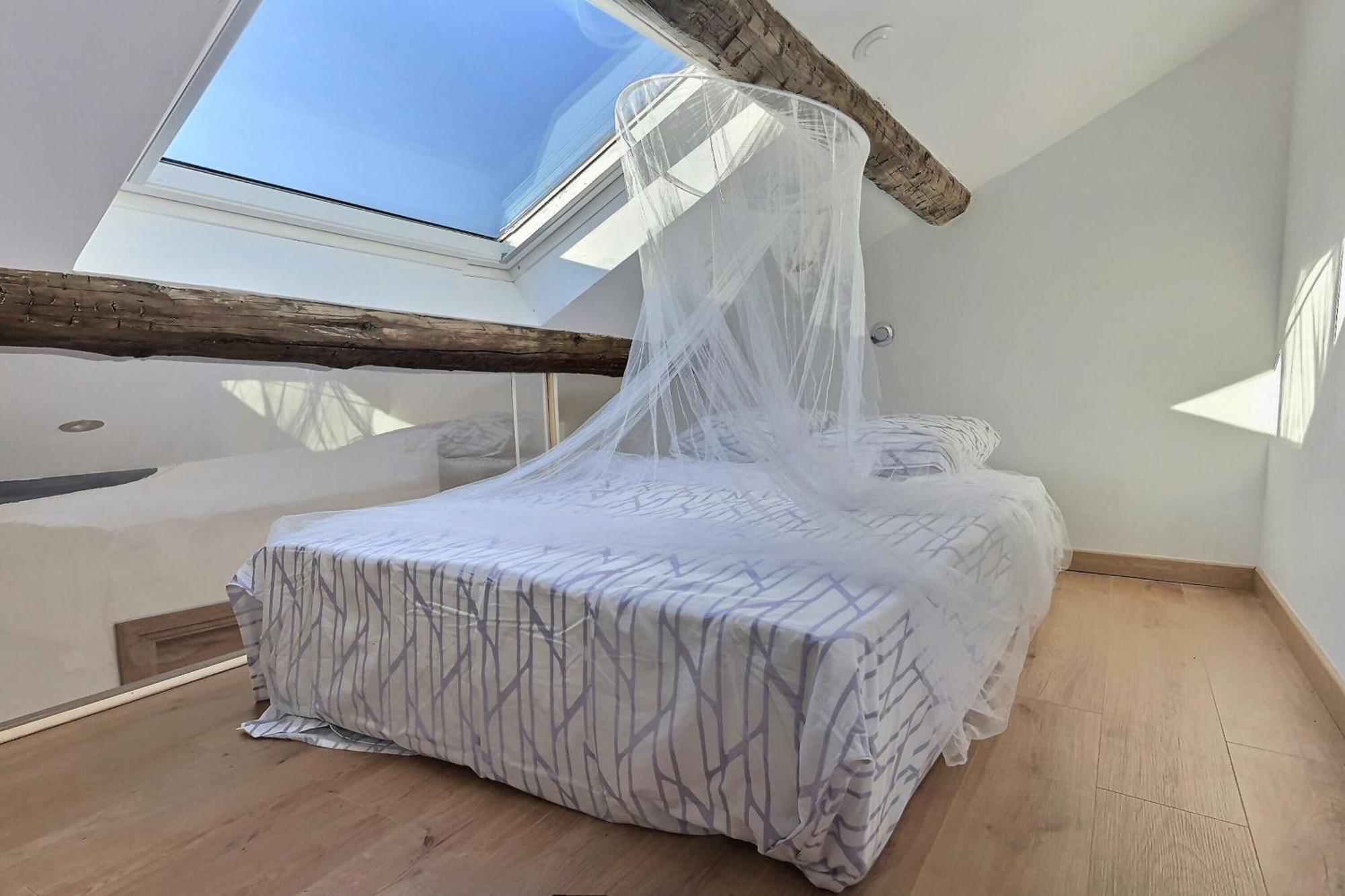 Apartment Jungle Loft Centre
