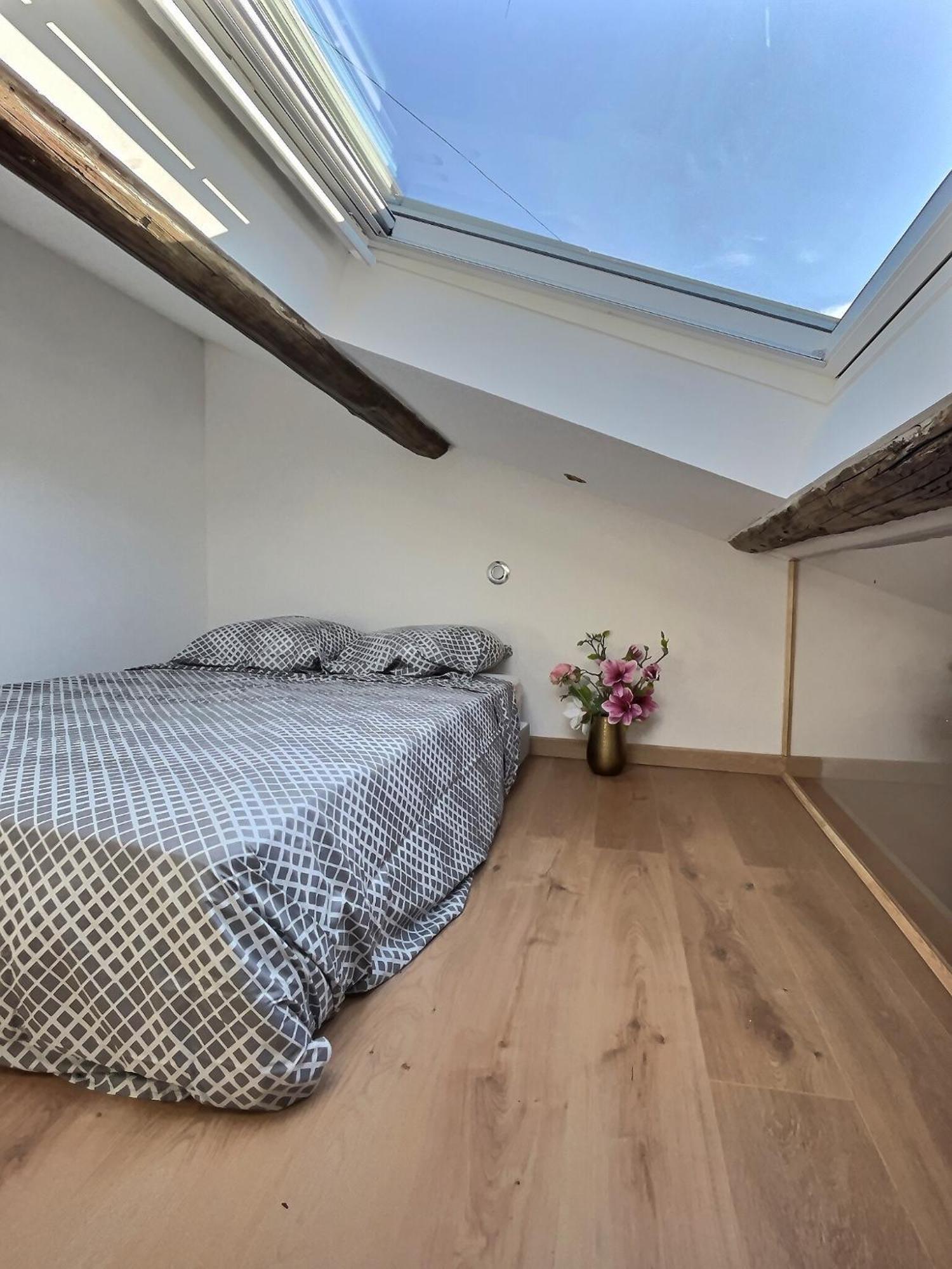 Apartment Jungle Loft Centre Beziers