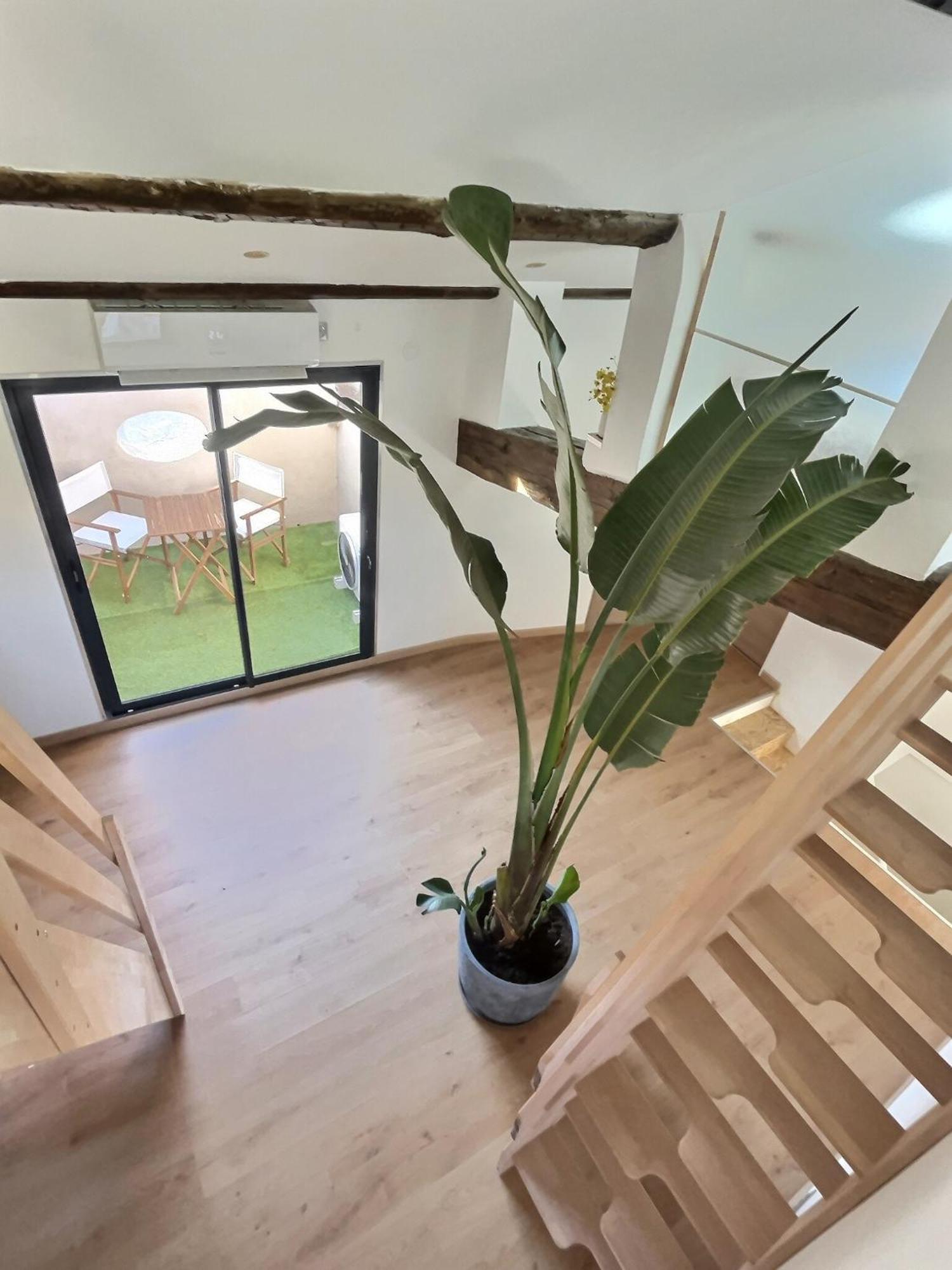Jungle Loft Centre * Beziers