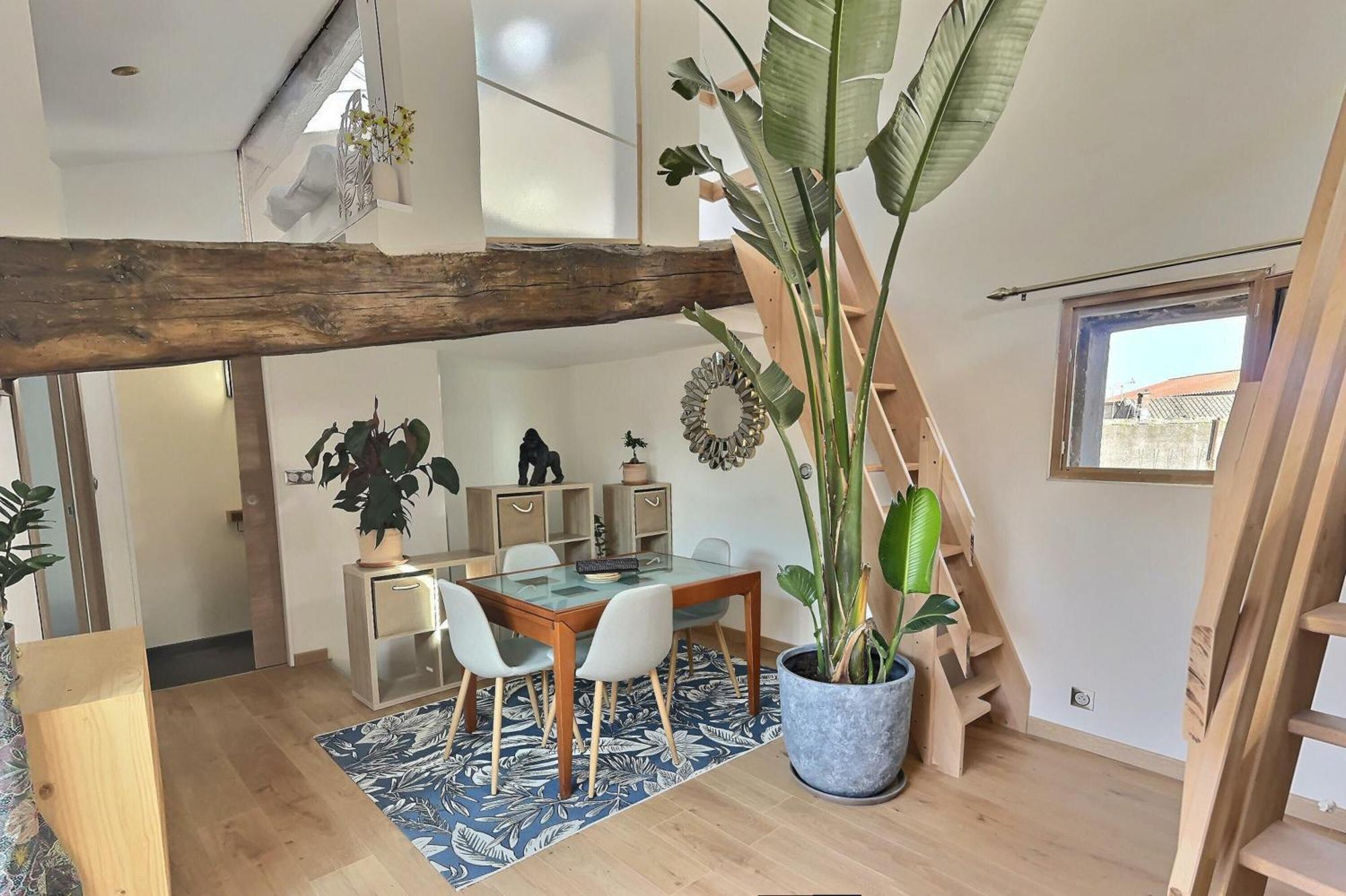 Jungle Loft Centre Apartment